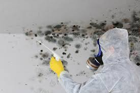 Best Crawl Space Mold Remediation  in Iyanbito, NM